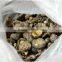 Organic Smooth Dried Shiitake Mushroom Prices