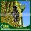 High Quality Sunflower Seeds For Sale 5009