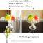 various styles elegant tall glass fruit keepers