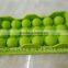 Customized pellet plastic ice cube tray wolesale