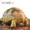 Nomo handmade little furnishing articles resin sulcata tortoise model