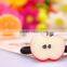 2016 new design fruit hair band