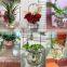 hang transparent glass vase/Other copper grass plants hang bottle hydroponic flower pot