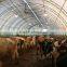 Whole greenhouse kits