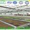 Agricultural Glass Greenhouse for sale