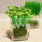 square glass vase, glass candle holder(HLTH-V038)