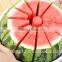 New Fruit Melon Slicer, Stainless Steel Blade Watermelon Cutter