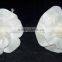 7019-7024 Sola Flower for diffuser