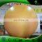 3 m Inflatable Planet Balloon Inflatable Sun Helium Ball Inflatable Advertising Decoration Party