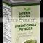 Superior Quality Wheat Grass Powder For Sales