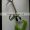 Spring tool lanyard with snap hooks