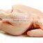 Injector chicken machine in 2015 /automatic brine injector machine