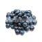 Factory Supply Natural blueberry extract powder anthocyanins