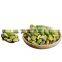 pistachio kernels pistache phistachios pistazien pistachio seeds in shell raw shelled pistachios from turkey