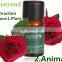 Factory directly plants essential oil distiller on sale Original and New