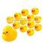 small to big different size of duck bath toys