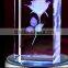 3D crystal laser inner engraving machine/crystal laser photo machine