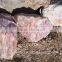 Rose Quartz Rough