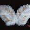 wholesale feather angel wings with gold iridescent