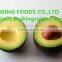 BEST QUALITY OF FRESH AVOCADO FRUIT