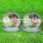 Snowglobe photo Frame filled with liquid and snowflake picture frame