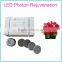 2014 New Design 4 Colors LED Light Facial Massager With Photon Therapy&Vibration