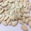 China New Crop Wholesale Shine Skin Pumpkin Seeds