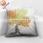 Colourful personalized cheap printing pillow for promotion