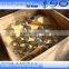 stainless steel forged gost 12820-80 12821-80 flange