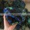Natural Azurite Mineral Stone Crystal Specimen For Sale