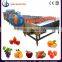 Ozone Fruit And Vegetable Washer