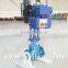 Globe type electric control valve