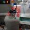 SK-250D ice pop packing machine