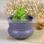 Low MOQ direct factory mini ceramic pots for succulents