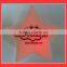 Party decoration led flashing star light ,star shape led pvc light
