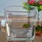 Clear square glass vase with 72oz capacity for plants from Bengbu Cattelan Glassware Factory
