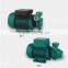 Mirco Vortex Pump