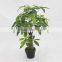 nearly nature artificial tree