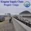 Project Cargo Government procurement