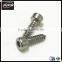 Stainless Steel Hex Socket Cap Head Self Tapping Screw