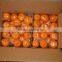 Fresh Nanfeng Mandarin Orange Fruit