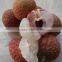 2015 Fresh The King of Litchi(LanZhu)