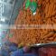 Competitive Price And Best Quality Fresh Carrot From China