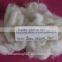 NEW!!! fine 100% wool waste, 27-28mic, 30-45mm, natural white color, to make yarn, felt etc