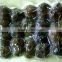 New products fresh frozen tuber indicum truffle