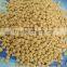 Agriculture phosphate fertilizerGranular 18-46-0 brown and dark dap fertilizer