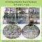 Modified corn maize starch processing line