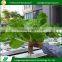 2017 Newest wholesale without soil plants home hydroponic systems
