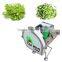 Automatic Vegetable Cutter