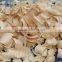 Nature wood shavings for animal bedding